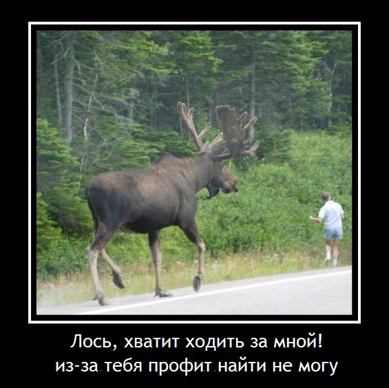 Заказ такси из москвы в троицк