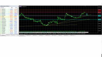 Forex ru prognoz