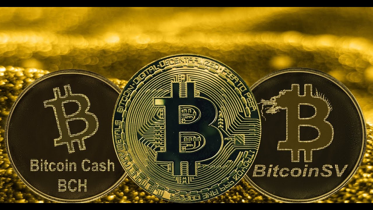 bitcoin cash money